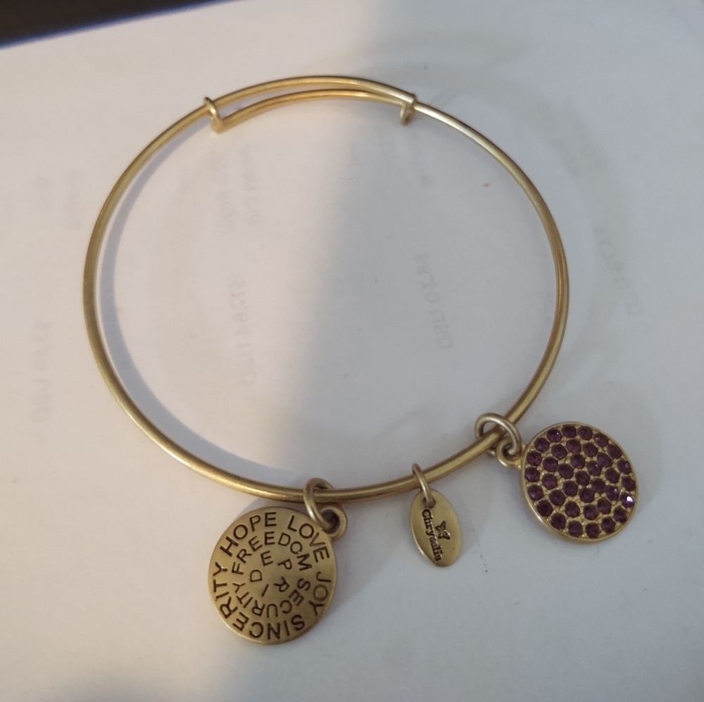 Two Alex & Ani Bracelets